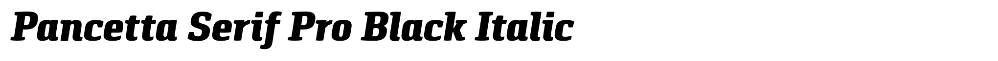Pancetta Serif Pro Black Italic image